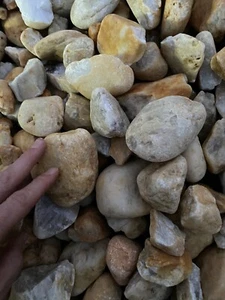 River Stones Pebbles Garden Rocks, Assorted 20 Lbs - Picture 1 of 1