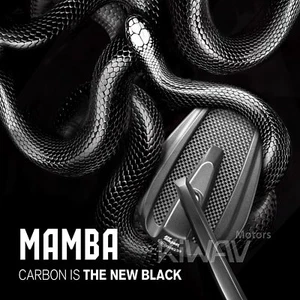 Bar end mirrors MAMBA tapered real carbon fiber glossy for Harley 96-07 Touring - Picture 1 of 12