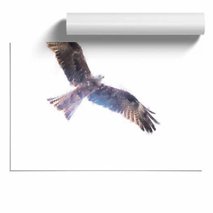 Poster Flying Eagle stampa da parete arte pittura arredamento casa immagine - Foto 1 di 4