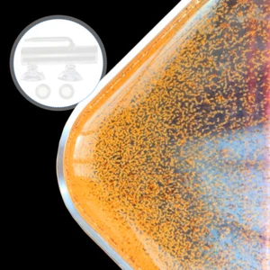 Bicchiere da allevamento Artemia Hatchery - Foto 1 di 12