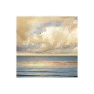 Impresión En Lienzo En Papel Póster O Cuadro Seba John Ocean Light II - Imagen 1 de 2