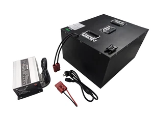 LiFePO4 48V 60V 72V / Lithium Akku Roller Scooter Boot Golf Camping PV Akkupack - Bild 1 von 29