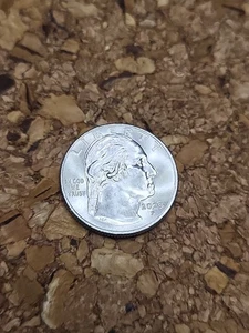 2023 P Washington Quarter Eleanor Roosevelt Error In Cod We Trust Rare! - Picture 1 of 3