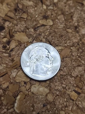 2023 P Washington Quarter Eleanor Roosevelt Error In Cod We Trust Rare! - Image 1 of 3