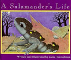 A Salamander's Life Hardcover John Himmelman