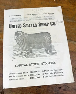 1890 U.S. Sheep Company Brochure FARGO, ND ~ Desirable INVESTMENT, Capital Stock - Picture 1 of 10