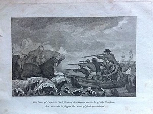 LA FLOTTA DEL CAPITANO CACCIA TRICHECHI MARE DEL NORD acquaforte 1817 Cooke   - Imagen 1 de 1