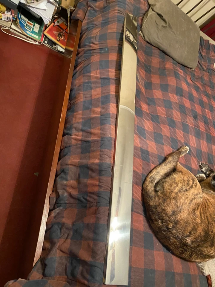 Cadillac Eldorado 1979-1985 puerta conductor balancín moldura Foto 1 de 1