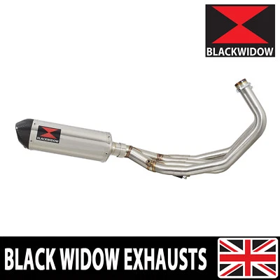 Silenciador ovalado sistema de escape completo de bajo nivel Yamaha FZ6R 2009-2017 300ST Foto 1 de 4