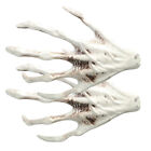  White Pe Plastic Halloween Skeleton Hand Zombie Party Props Human Skull