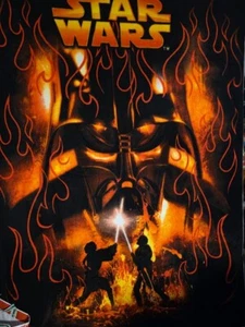 Panel polar. Star Wars. 48" x 54" - Imagen 1 de 1