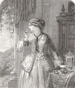 PRETTY LADIES. There! he's gone! 1852 old antique vintage print picture - Picture 1 of 1