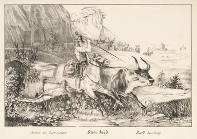 Stierjagd in Südtirol, um 1850, Lith. Biedermeier Jagen Unbekannt (19.Jhd) - Bild 1 von 4
