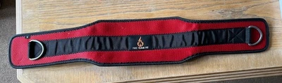 Weightlifting Dip Belt With Rings Fire Team Fit Size S - Image 1 of 4