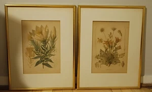 PAIR OF ANTIQUE STYLE DECORATOR BOTANICAL LITHOGRAPHS - Picture 1 of 8