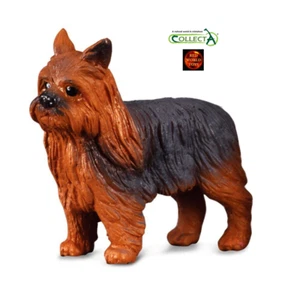 Yorkshire Terrier Yorkie Hundespielzeug Modellfigur von CollectA 88078 Kuchenaufleger - Bild 1 von 1
