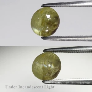 💎 2.21ct Oval Cabochon Natural Green Cat's Eye Chrysoberyl - Sri Lanka Gemstone - Picture 1 of 6