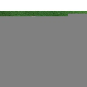 Miura PP-9005 Genesis Iron Set 6pcs 5-PW ATTAS 60 Flex R Reshafted - Picture 1 of 5