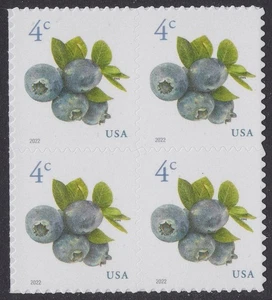 100x BLUEBERRIES #5652 FRUIT Berries Mint NH 2022 US 4c (One Hundred Stamps) - Picture 1 of 3