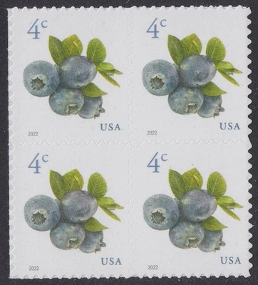 100x BLUEBERRIES #5652 FRUIT Berries Mint NH 2022 US 4c (One Hundred Stamps) - Image 1 of 3