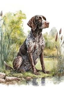 GERMAN SHORTHAIRED POINTER GSP DOG SITTING GREETINGS NOTE CARD - Bild 1 von 1