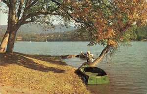 Postcard Beaver Lake Onlooker Asheville North Carolina NC - Imagen 1 de 2