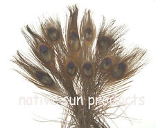 10 Peacock Eye Feathers 10-15" Length  Bleached & dyed 21 colors Available