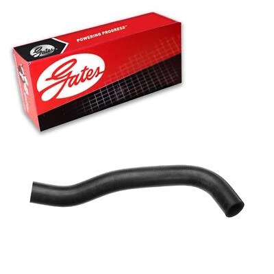 Manguera de refrigerante de radiador Gates inferior para Hyundai Santa Fe 2010-2012 3,5 L V6 GAS Foto 1 de 3