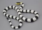 Snake with Silver Stripes for 1/6th Scale 12" Action Figure 1:6 New