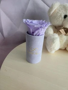 Preserved Rose in Box flower box - Picture 1 of 2