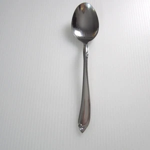 Oneidacraft Deluxe Cuchara Sopa Shasta Acero Inoxidable EE. UU. Cuchara Lugar Ovalada - Imagen 1 de 5