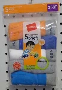 5pr Toddler Boys' Hanes Color Briefs Underwear Size 2T-3T - Picture 1 of 4