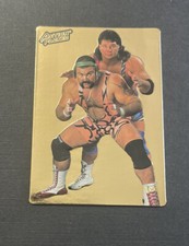 1994 Action Packed Steiner Brothers WWF Wrestling Card #41 In NMint Condition