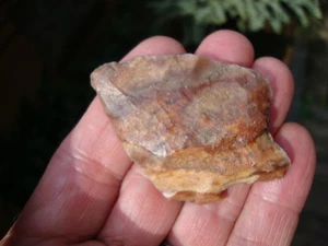2 3/8" Super Color CYPRESS CREEK Florida Georgia Arrowhead ~88~ - Picture 1 of 3