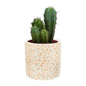Kusso Weiß Terrazzo Stil Spiegel und Pflanztopf Set für Bad oder Schlafzimmer - Bild 1 von 8