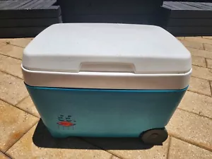 Willow 55 ESKY - Picture 1 of 6
