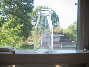 BRIGHTON MICHIGAN PLESSLAND DAIRY 1/2 PINT SLUGPLATE MILK BOTTLE 1930S - Picture 1 of 4