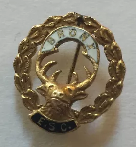 Vintage 1/10 Gold Filled BRONX Elks Club Enamel Lapel Pin - Fraternal Club - Picture 1 of 3