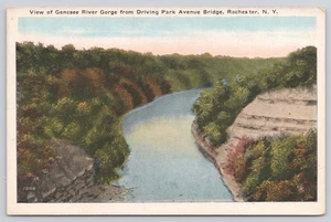 View of Genesee River Gorge Driving Park Avenue Bridge Rochester NY Postcard - Picture 1 of 2