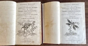 RARE 1806 General Zoology INSECTS by George Shaw, J F Stephens Vol VI Pts I & 2 - Imagen 1 de 24