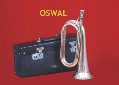 VENTA DE VERANO NUEVO MILITAR EXCELENTE CORNETA DEL EJÉRCITO AFINABLE CON ESTUCHE RÍGIDO GRATIS + M/P Foto 1 de 2