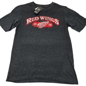 Detroit Red Wings NHL Team Apparel Gray T-Shirt Men's Size Small New Tag Hockey  - Picture 1 of 6