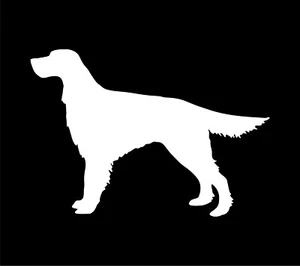 Adesivo silhouette cane decalcomania vinile irlandese finestrino auto laptop setter rosso cane - Foto 1 di 12