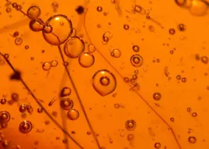 Wasserblasen Enhydros mit Stelzenbein Kranichfliege in dominikanischem Bernstein Fossil Edelstein - Bild 1 von 12