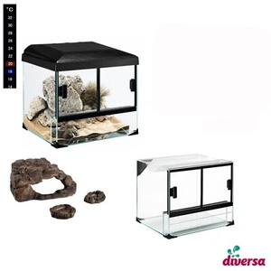 (104,00€/Stk) diversa Terraset Desert Terrarium 30x25x25cm inkl. Beleuchtung - Bild 1 von 5
