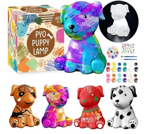 Paint Your Own Dog Lamp Kit,DIY Night Light, Crafts for Teens, Arts & Crafts Kit - Picture 1 of 4