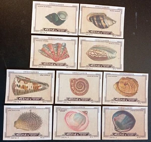 Tarjetas comerciales TC0089: Chocolate Nestlé - Serie 5 - Coquillages - Imagen 1 de 1