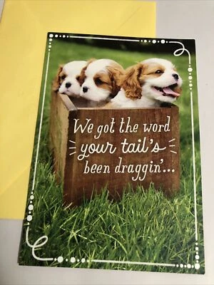 Get Well Soon - Your Tail’s Been Dragging Cute Dog Hallmark Greeting Card - Image 1 of 4