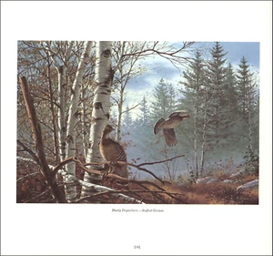 1978 Vintage Print RUFFED GROUSE Waterfowl Upland Bird Fowl Flying David Maass - Picture 1 of 3