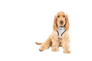 Mog & Bone Neoprene Durable Dog Harness Grey Check Print Small - Picture 1 of 3